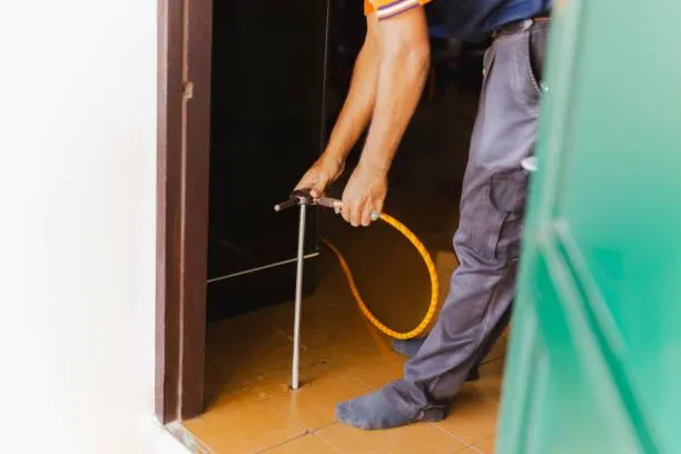 Dedetizadora especialista em cupim